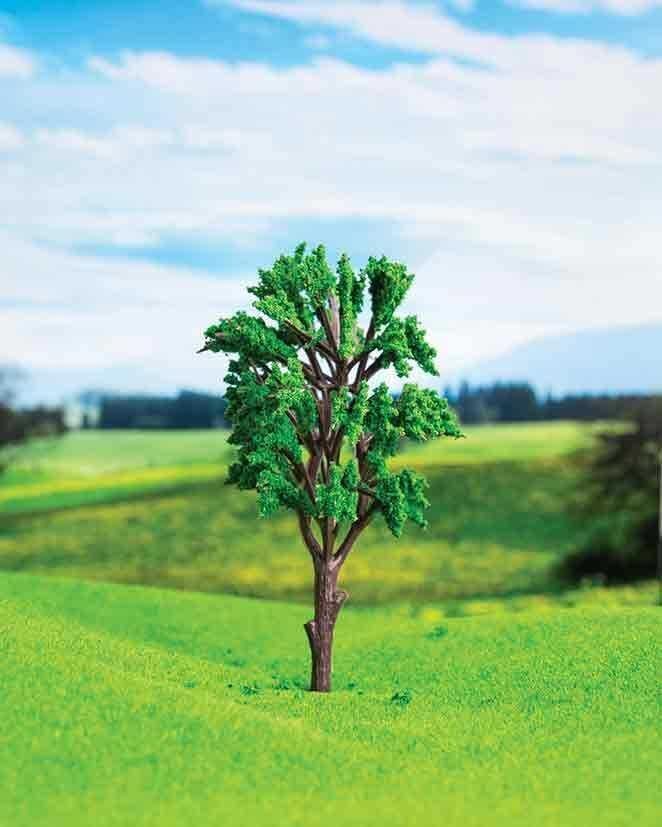 ESHEL OKALİPTUS AĞACI 13,5 CM 1 ADET
